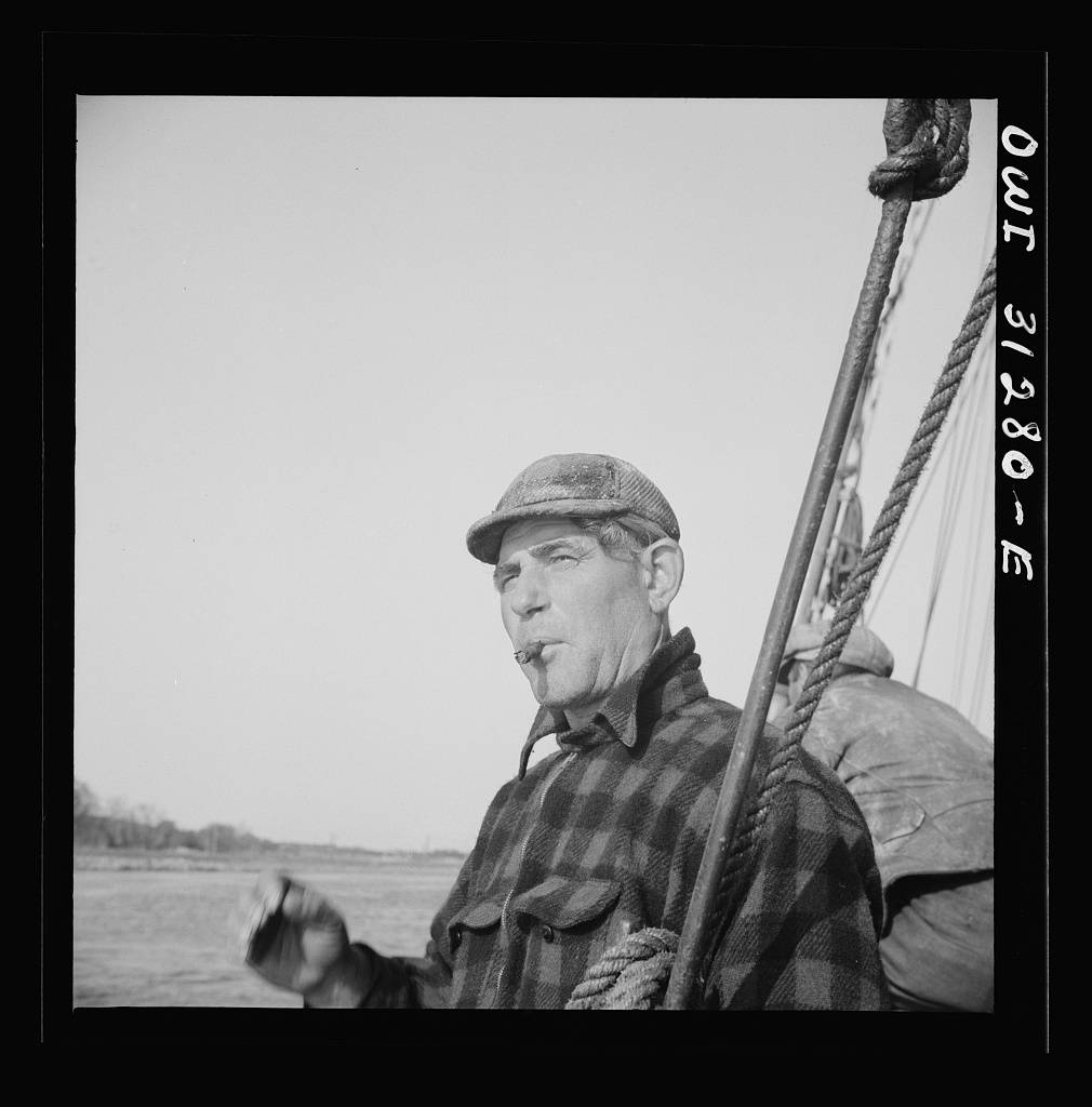 Large dip net transferring mackerel from nets to the Alden deck. Gloucester, Massachusetts