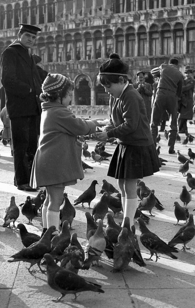Venice pigeons scenes 1960s Italy St Mark's Square