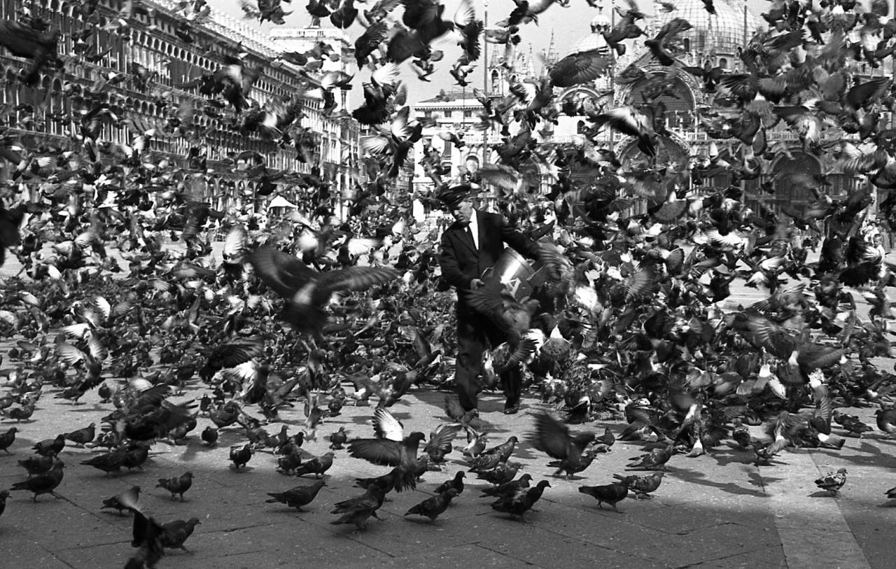 Venice pigeons scenes 1960s Italy St Mark's Square