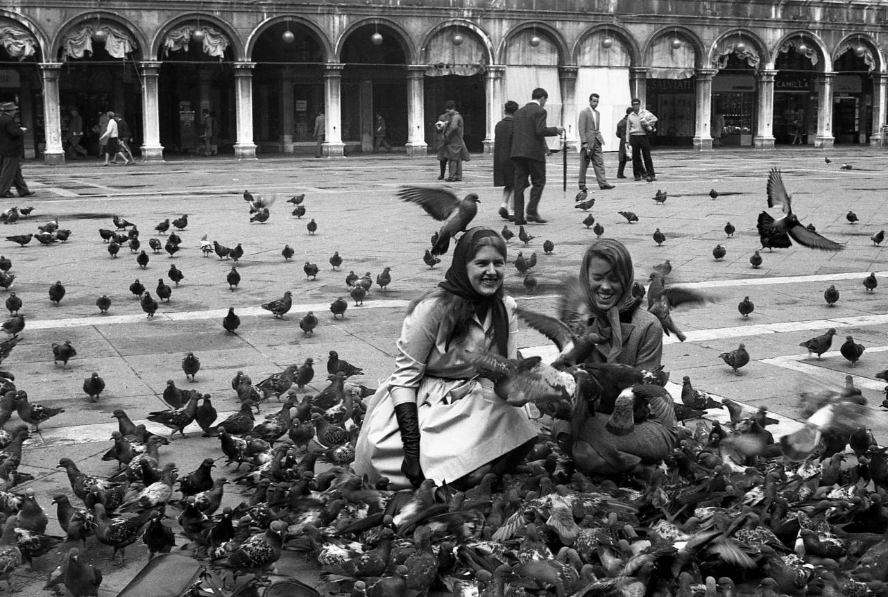 Venice pigeons scenes 1960s Italy St Mark's Square