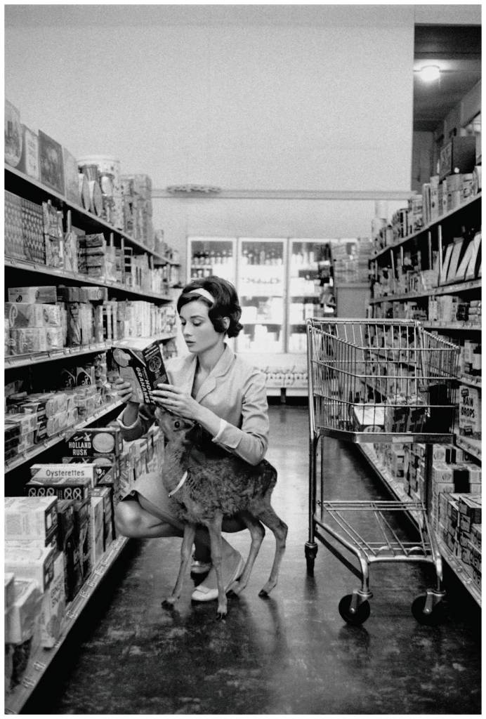 Audrey Hepburn and her pet deer, Ip, shopping in Beverly Hills, California, 1958.