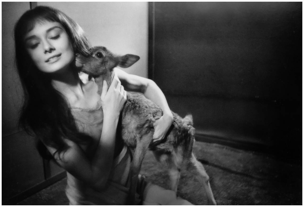 photo-bob-willoughby-audrey-hepburn-with-22ip22-set-22green-mansions22-1958