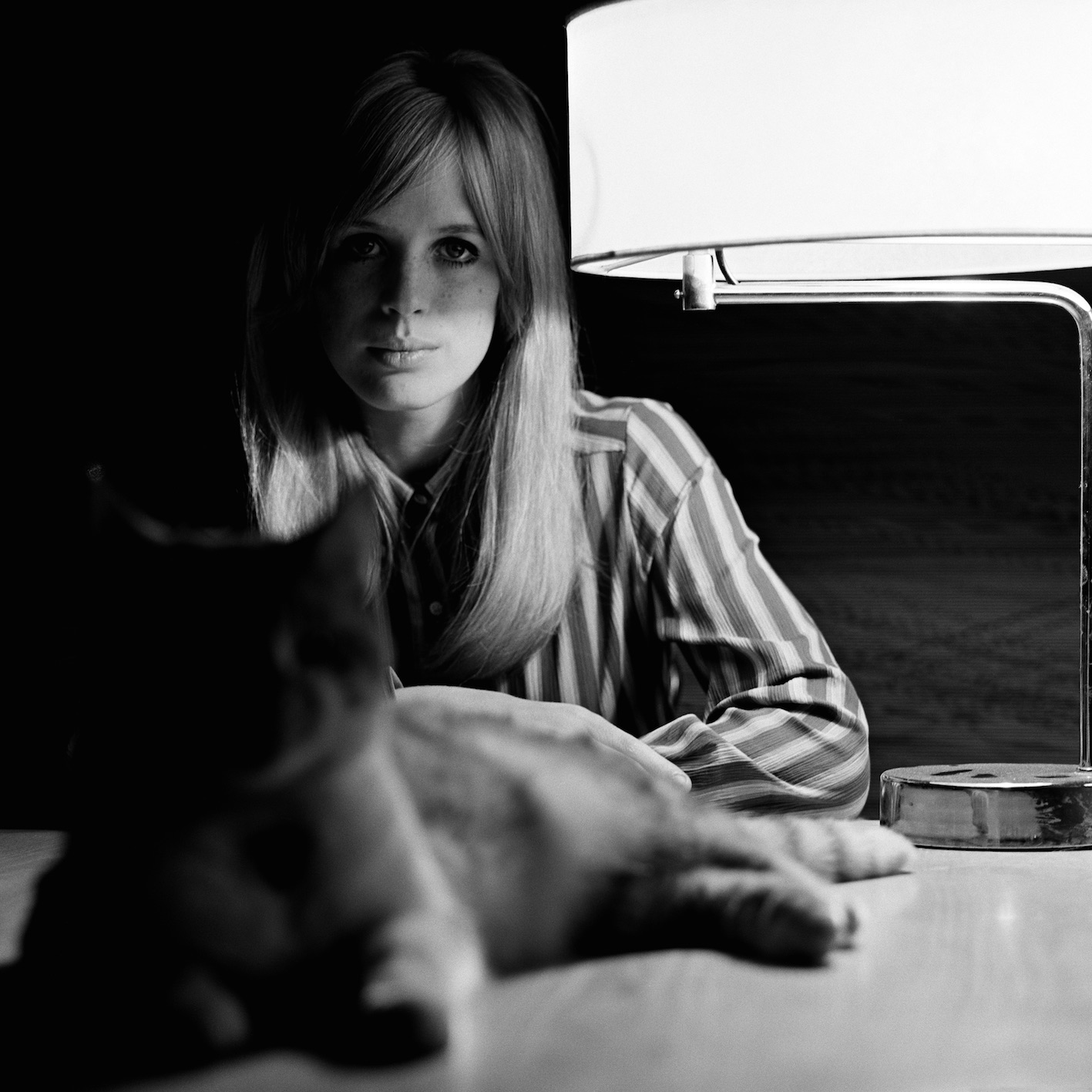 Birds of Britain Marianne Faithfull