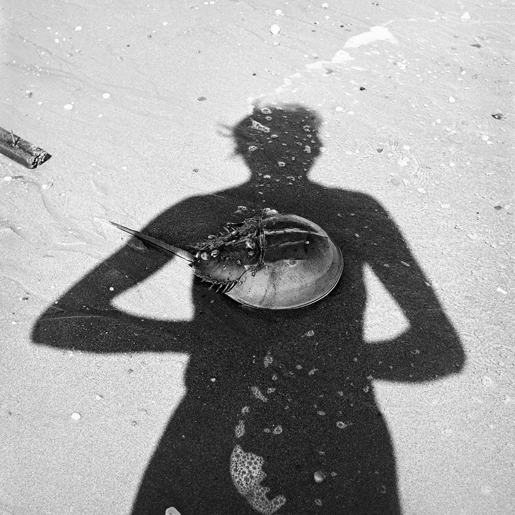 Vivian Maier self-portrait