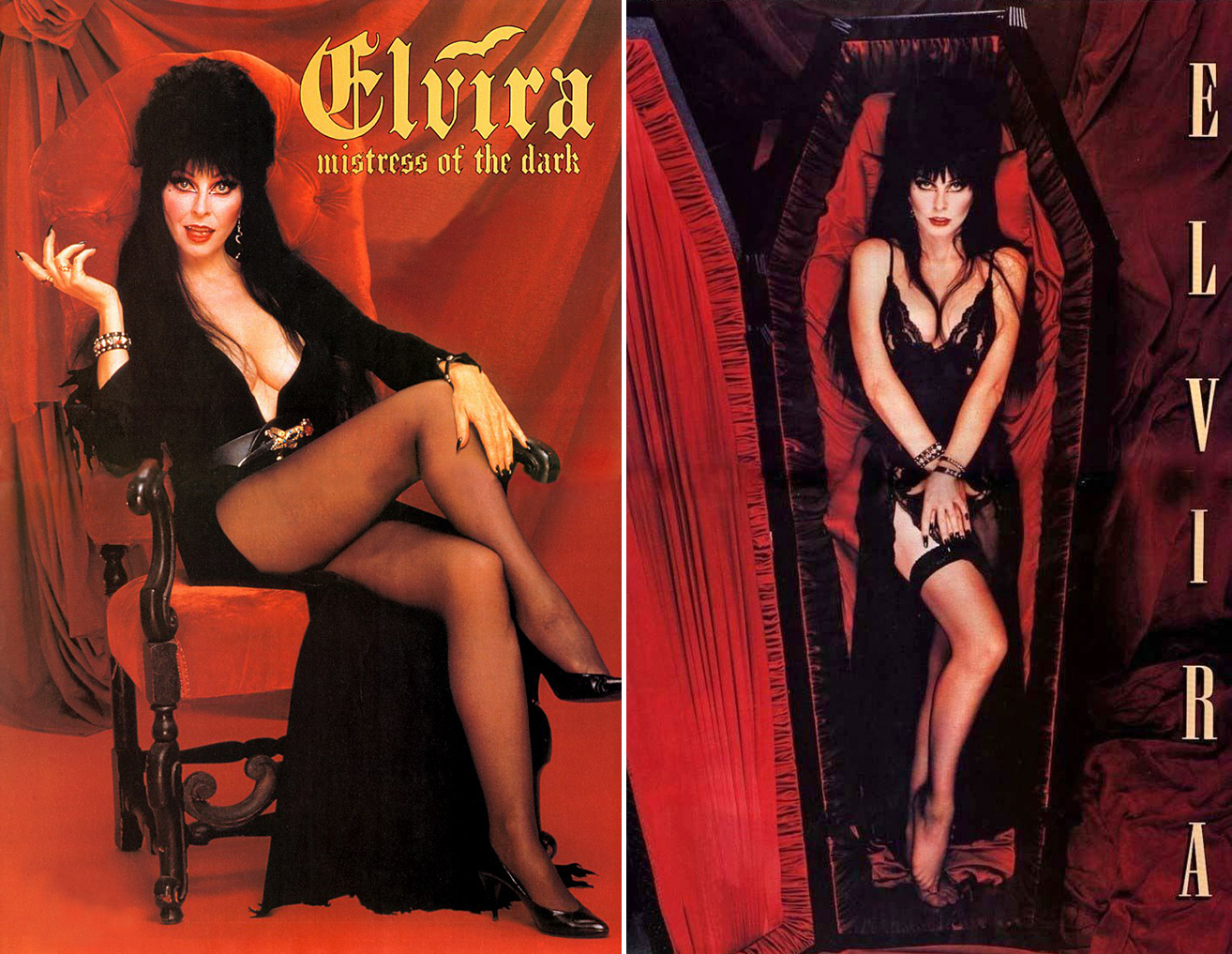 Elvira An Illustrated History Of The Mistress Of The Dark Fla