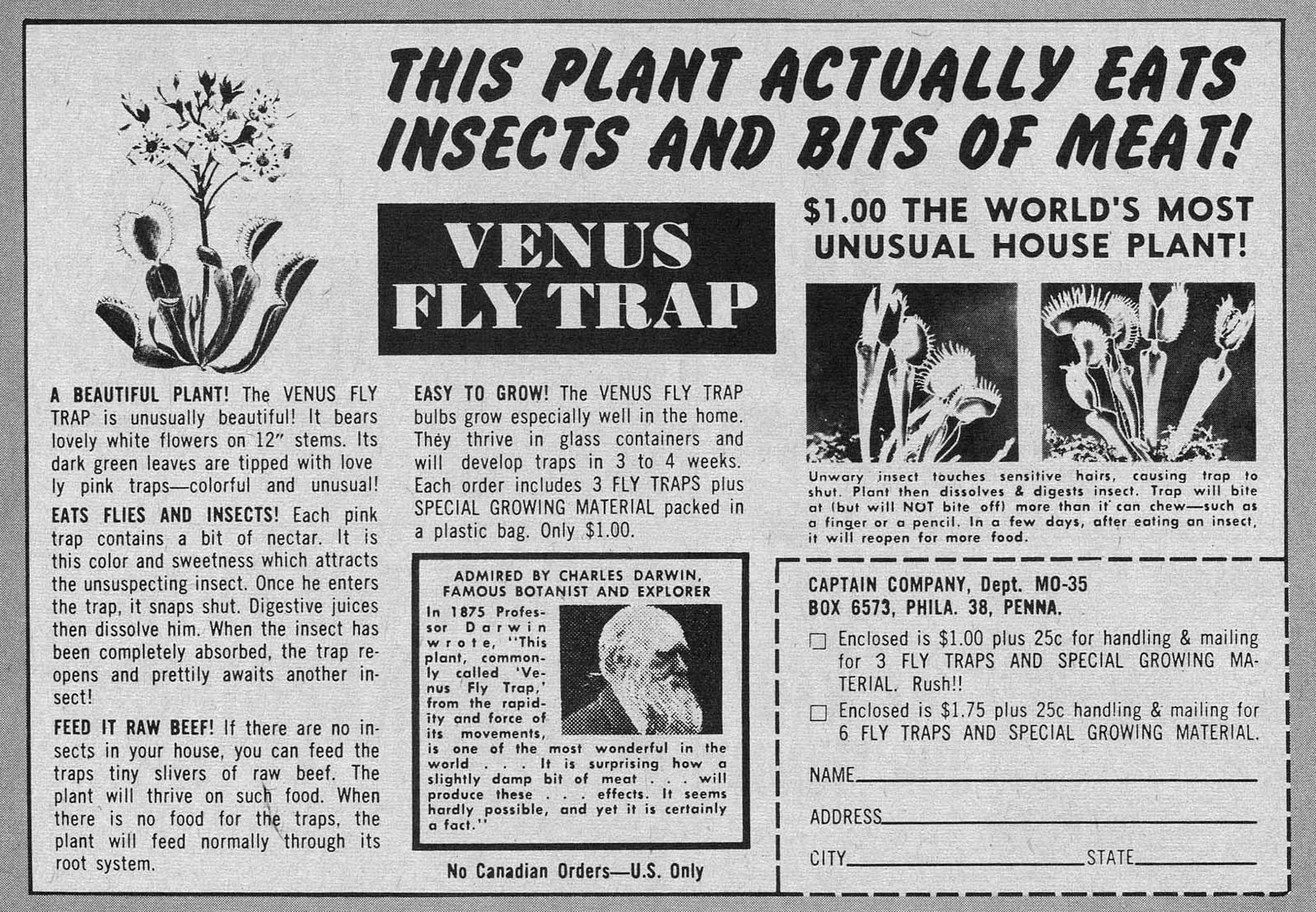 venus fly trap advert