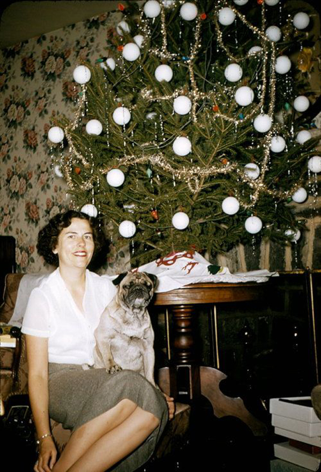 Mid-Century Women Enjoying Real Christmas Trees - Flashbak