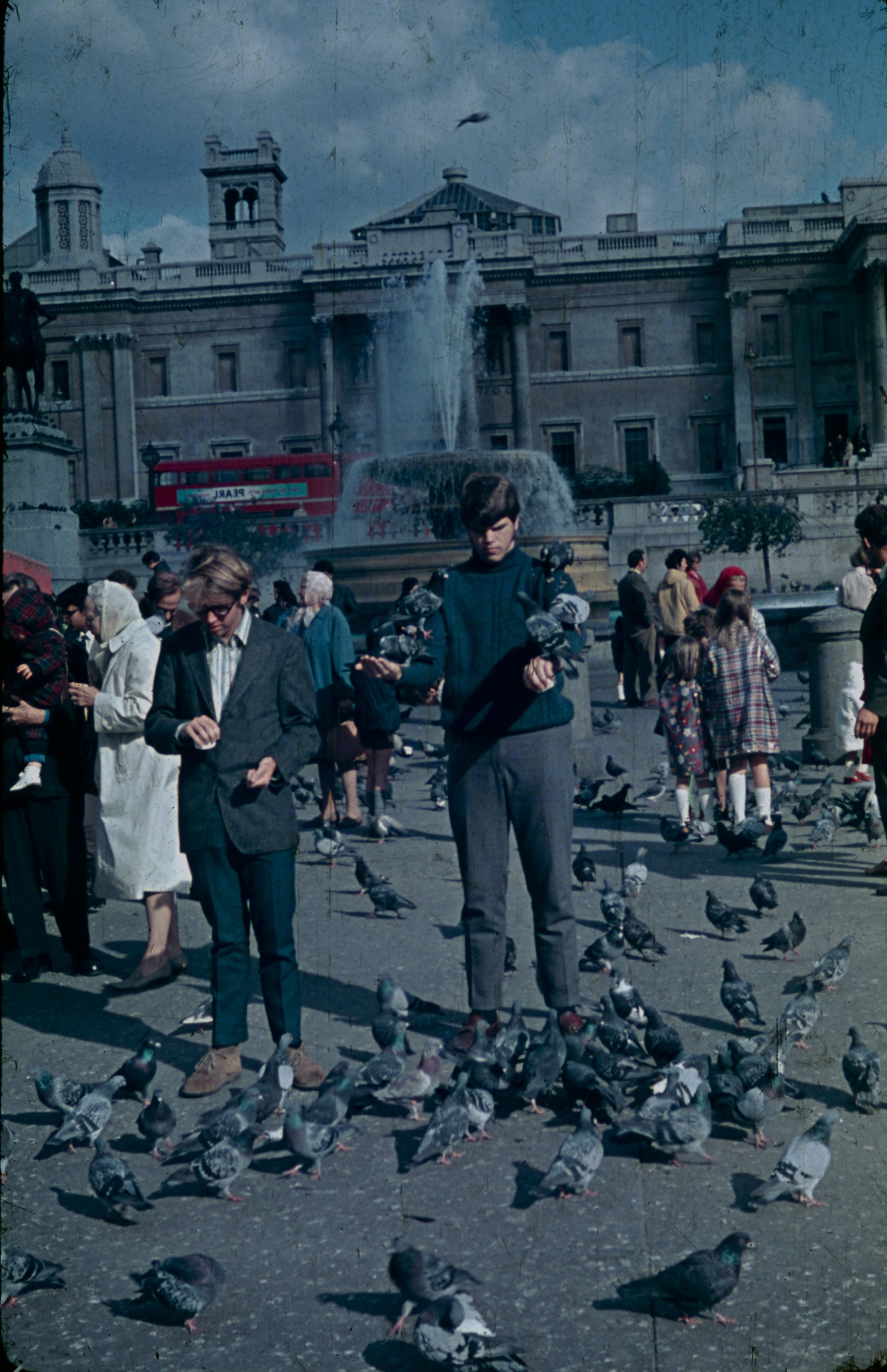 London 1970s pigeons