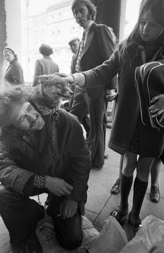 pavement-artist-tame-fox-heinrich-klaffs-dublin-1973