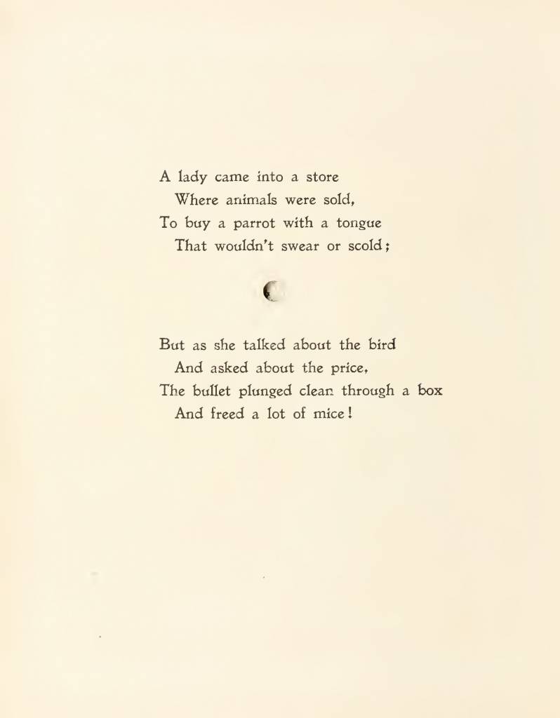 The hole book by Newell, Peter, 1862-1924 Published [1908]