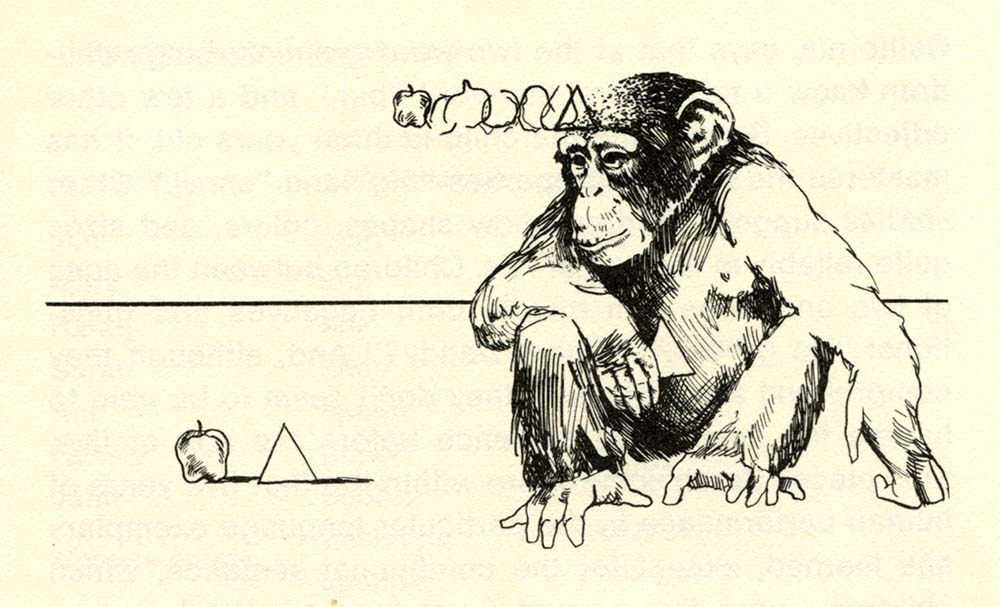 Why Chimps Can Read 1976 c