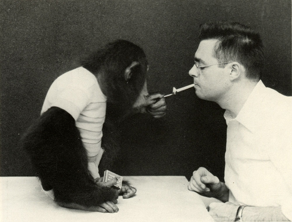 Why Chimps Can Read 1976