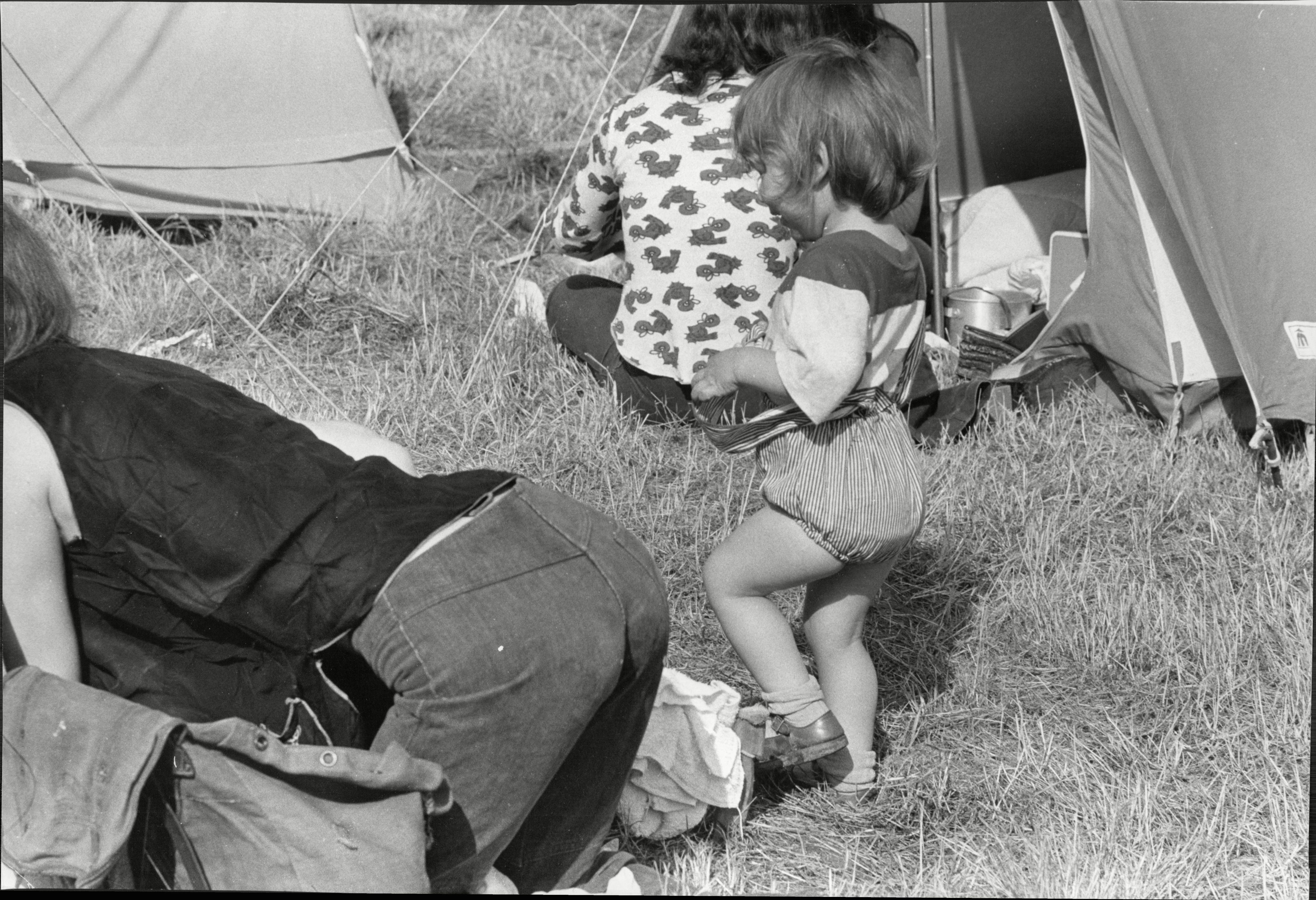 Photos Of The Reading Festival In The 1970s - Flashbak