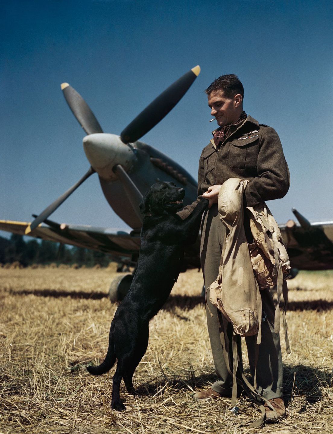 July 1944 The RAF’s top-scoring fighter pilot, Wing Commander James ‘Johnnie’ Johnson, with his Spitfire and pet Labrador ‘Sally’ in Normandy.