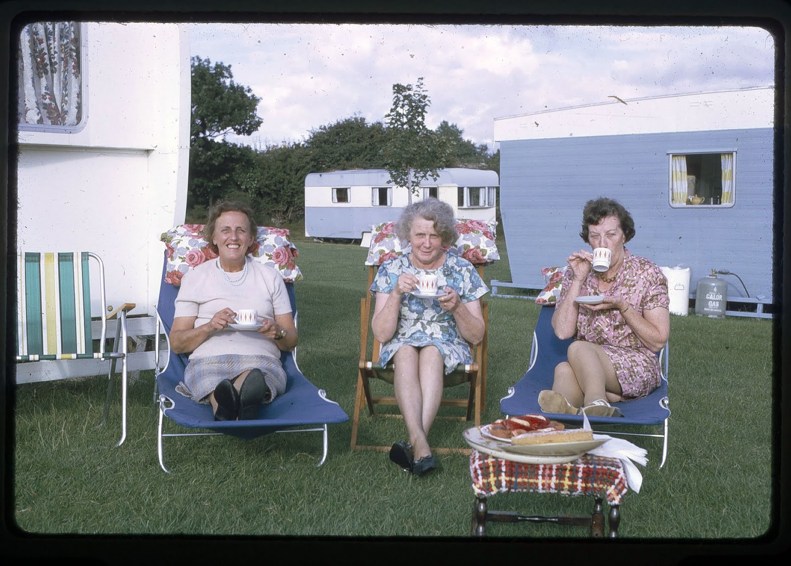 1950s 1960s 1970s snapshot cooking summer picnic