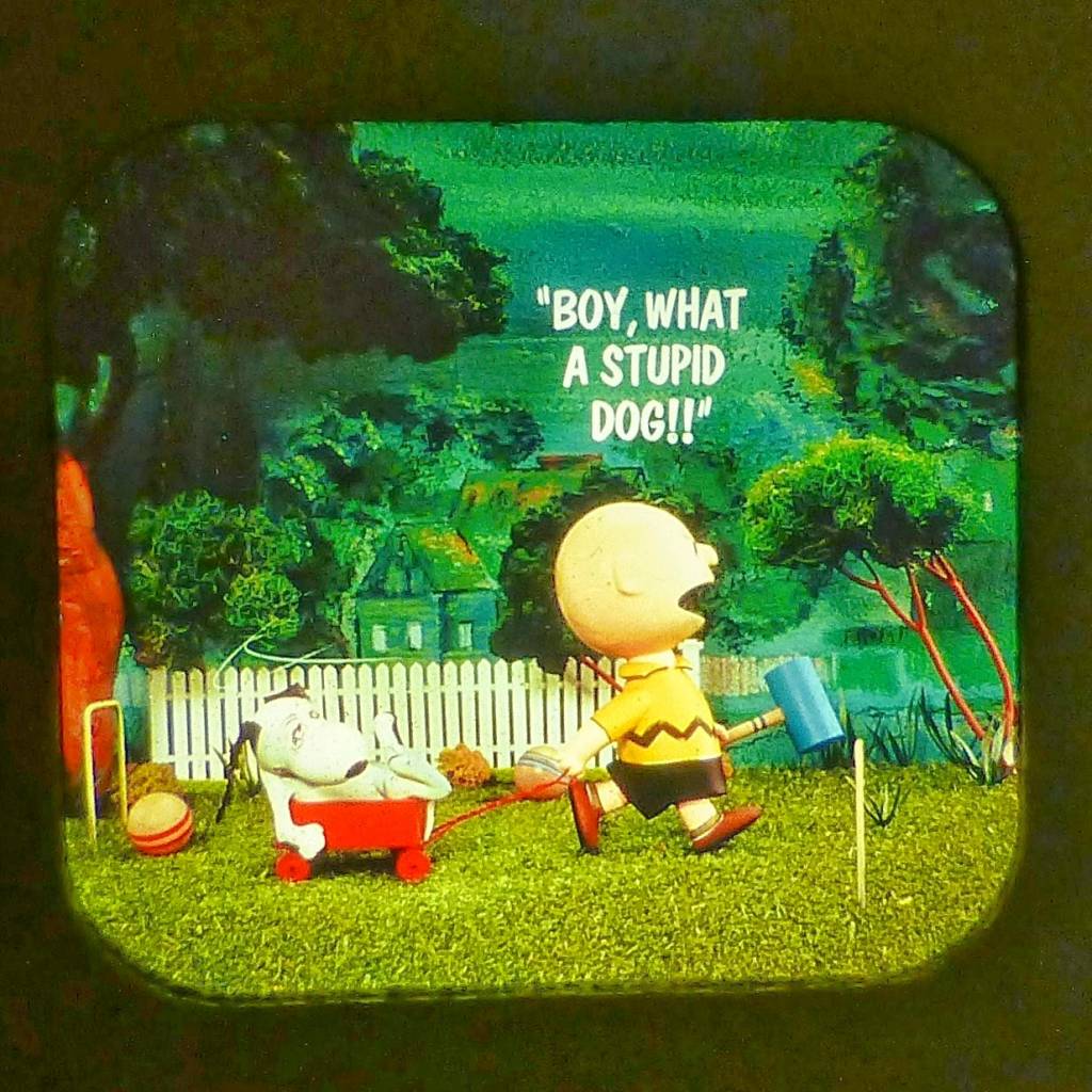 CHARLIE BROWN'S SUMMER FUN VIEW MASTER SCANS