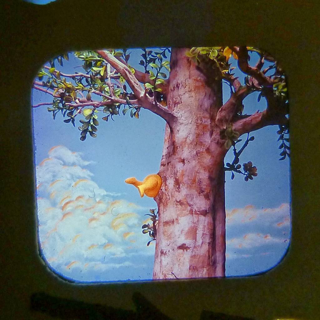 WINNIE THE POOH AND THE HONEY TREE VIEW MASTER