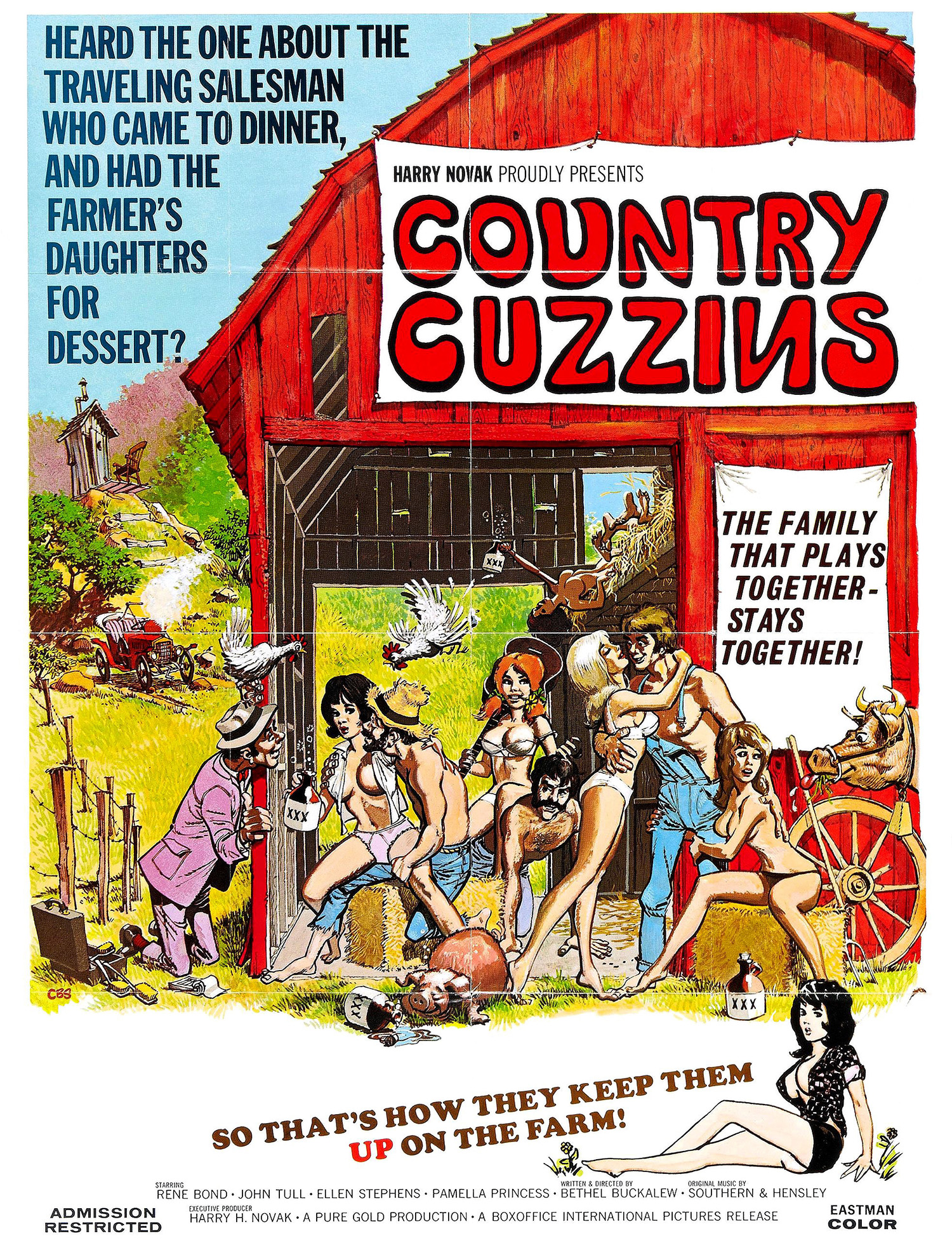 country_cuzzins_poster_01