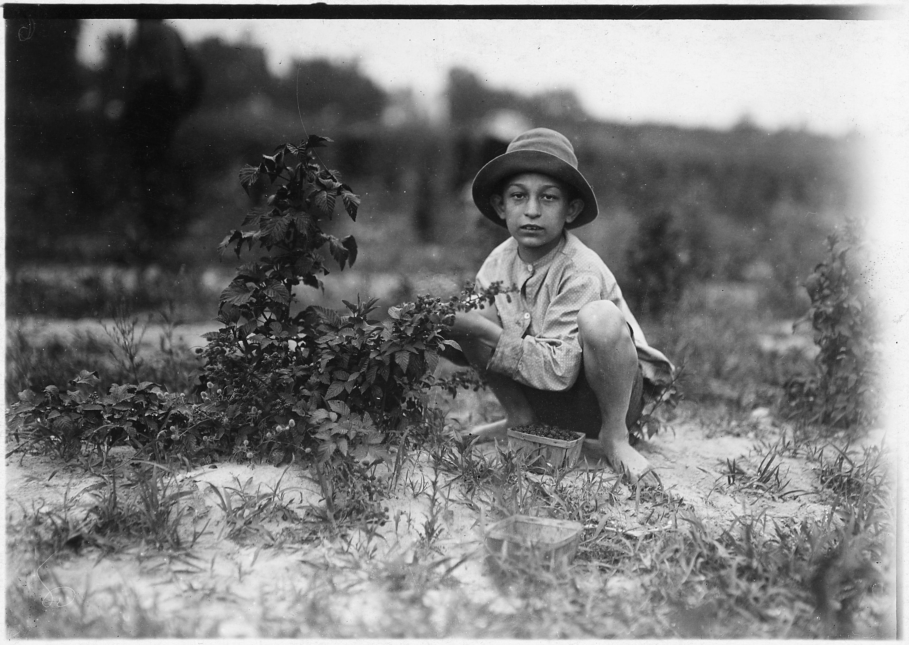 Lewis Hine, child labor