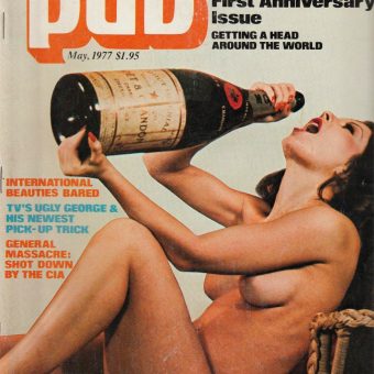Intoxicating Ladies: 25 Vintage Magazine Cover Girls Having a Drink