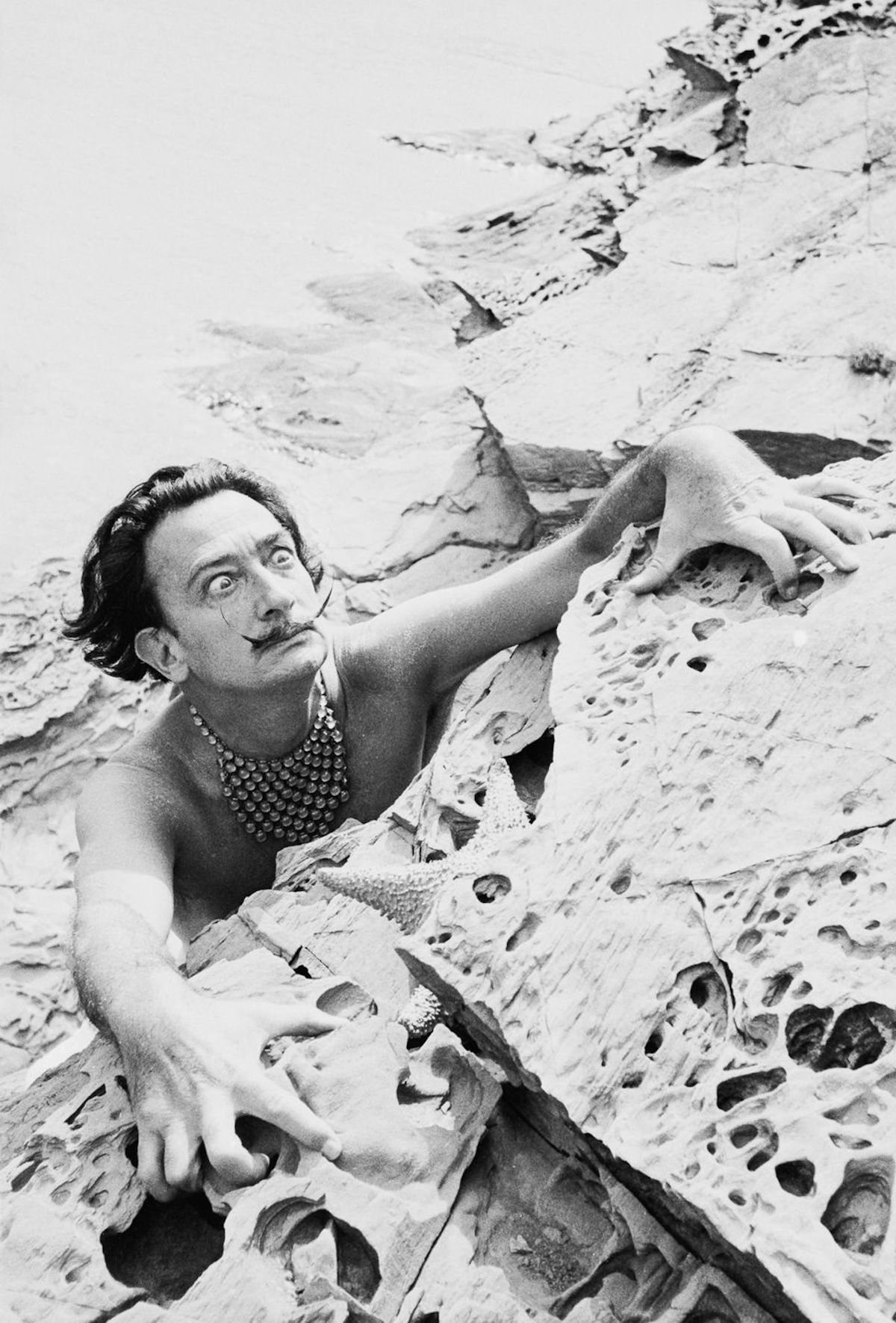 1955Salvador Dali nakedhome