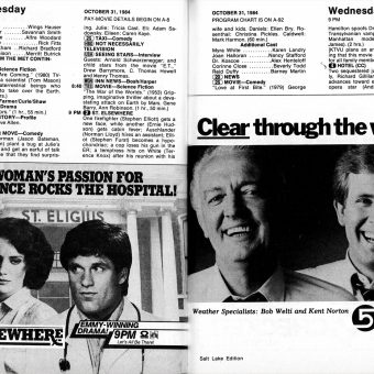 TV Guide October 27-Nov 2 1984 (5) - Flashbak