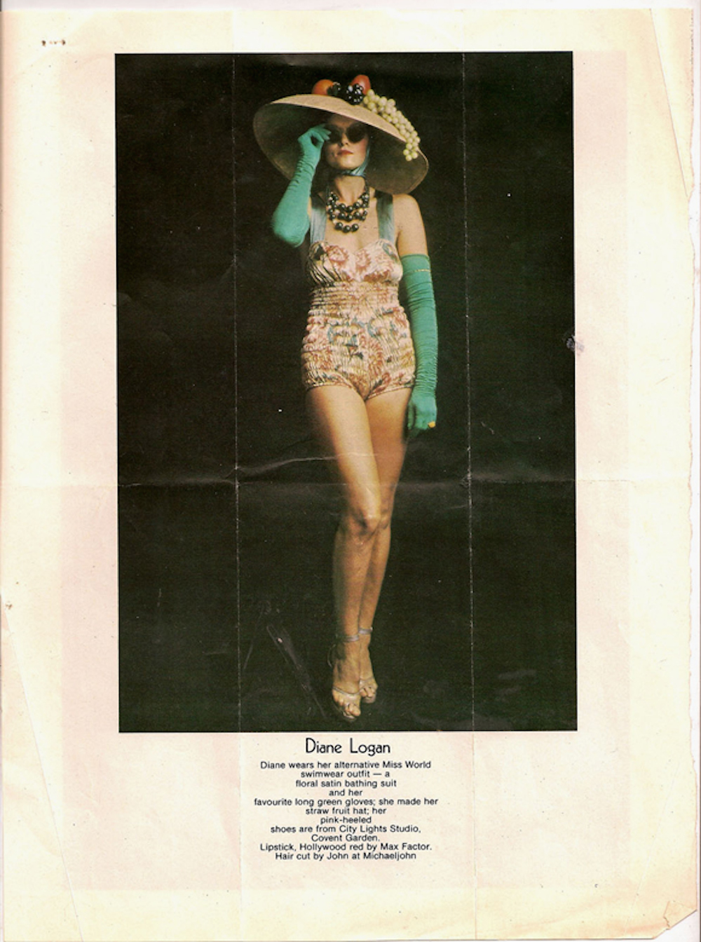 Diane LoganAlternative Miss World 1973