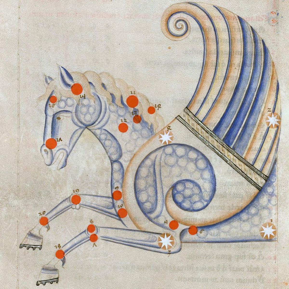 advent 16 Constellation of Pegasus from Sufi Latinus (Latin translation of ‘Kitāb al-kawākib al-thābita’ of ‘Abd al-Rahmān al-Ṣūfī), Bologna 1250-1275 BnF, Arsenal 1036
