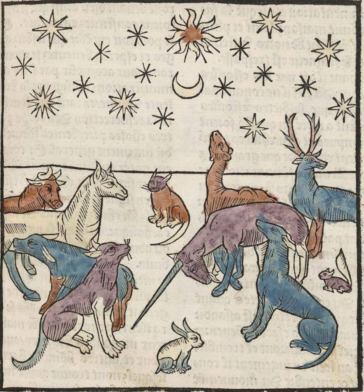 advent 9 Animals under a night sky from Antoine Vérard’s 'L’Art de bien vivre et de bien mourir' (The Art of Living Well and of Dying Well) , 1494 