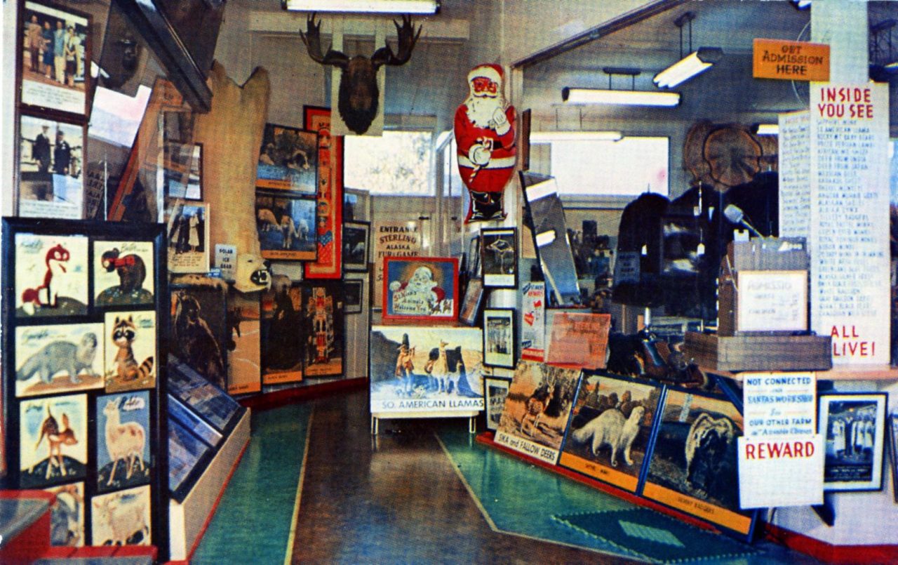 New York Sterling Alaska Fur & Game Farms Entrance Lobby Lake Placid NY Home of St. Nick's Animals See 1000 Fur and Game Alive and Tame 3 farms--Lake Placid, Ausable Chasm, Plattsburg, NY