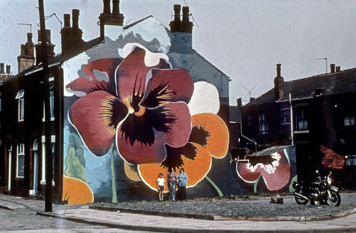 Mural depicting pansies on the gable-end wall of terraced houses in Rochdale. Painted by Walter Kershaw in the early 1970s.