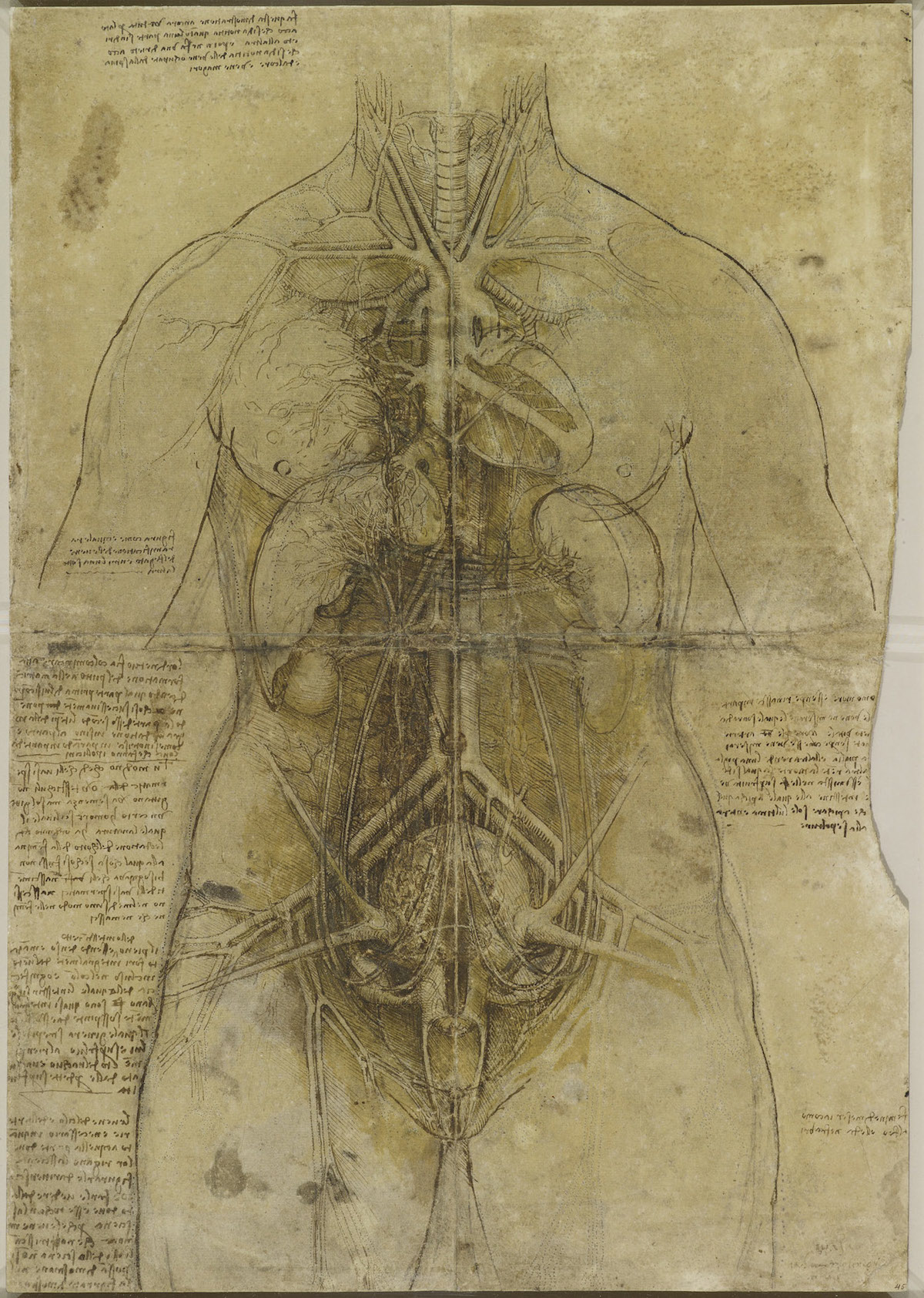 Body Maps Leonardo Da Vinci S Anatomical Drawings Flashbak