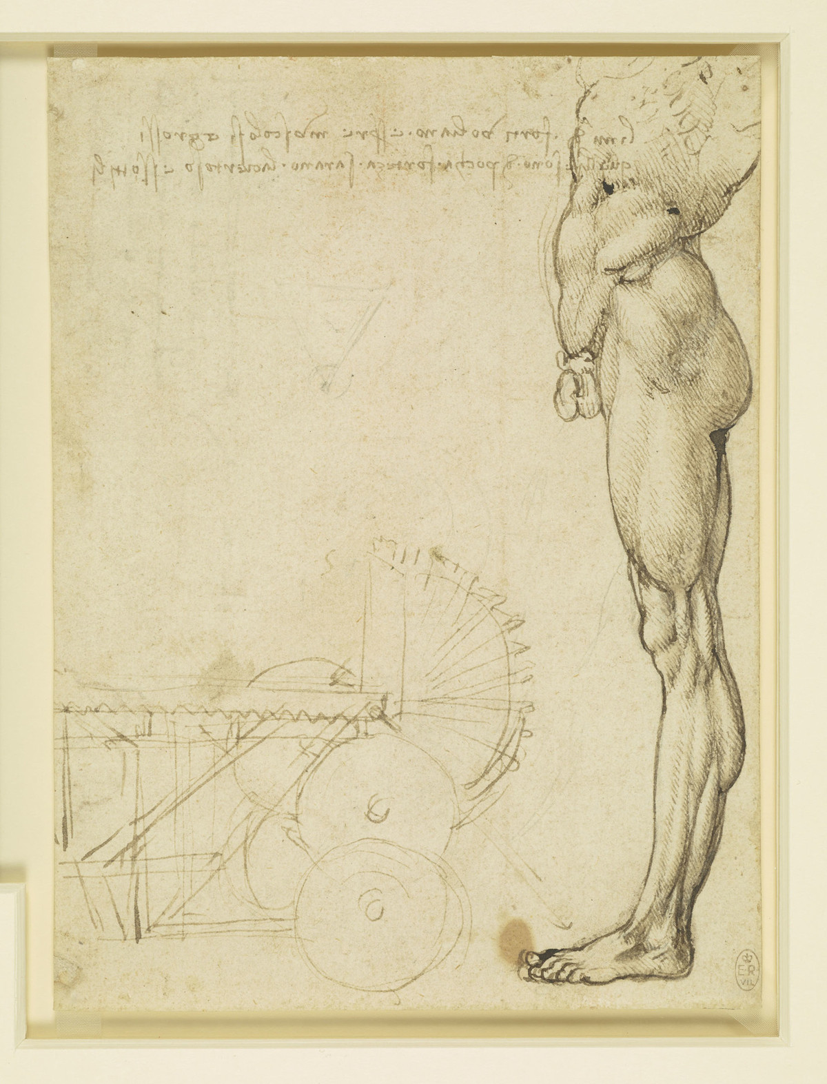 The torso and leg of a nude man in profile, and a study of machinery. 1488