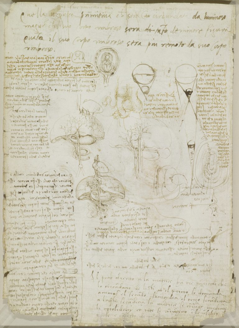 Body Maps: Leonardo Da Vinci's Anatomical Drawings - Flashbak