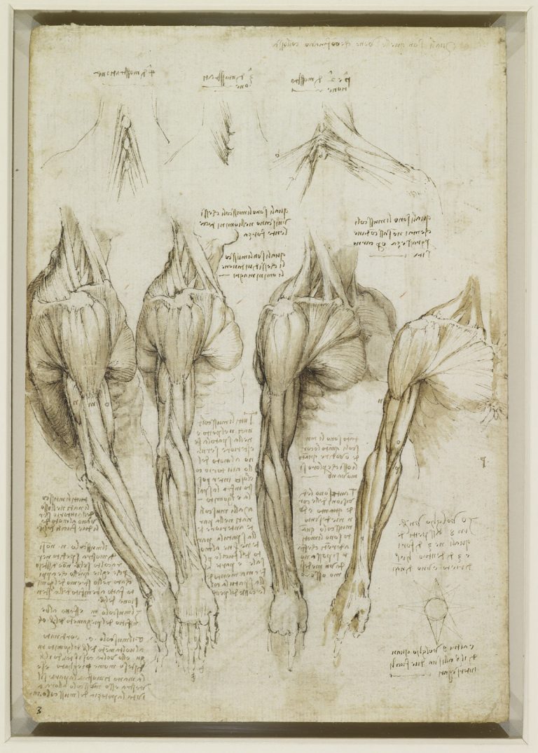Body Maps Leonardo Da Vinci s Anatomical Drawings Flashbak