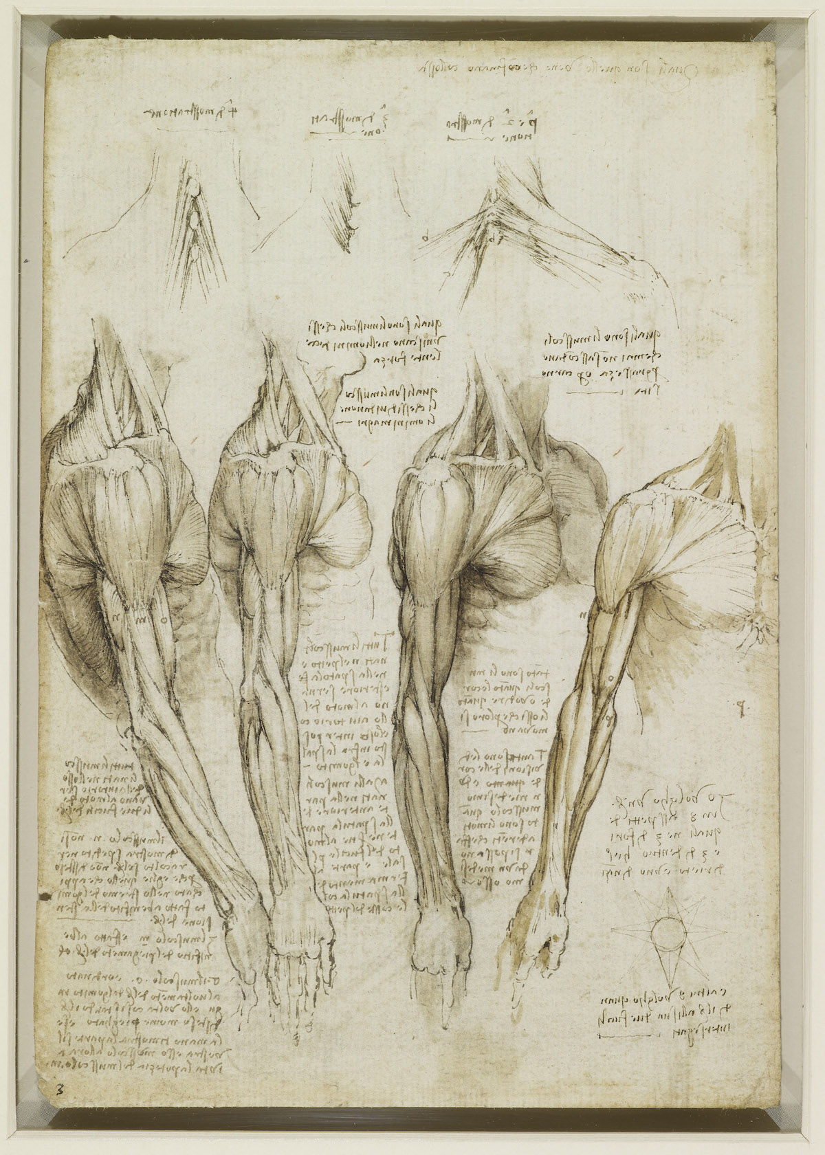 Body Maps: Leonardo da Vinci's Anatomical Drawings - Flashbak