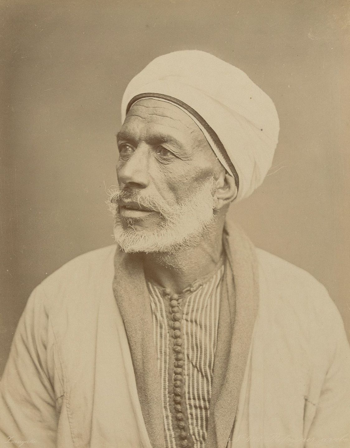 Arabic professor, Cairo.