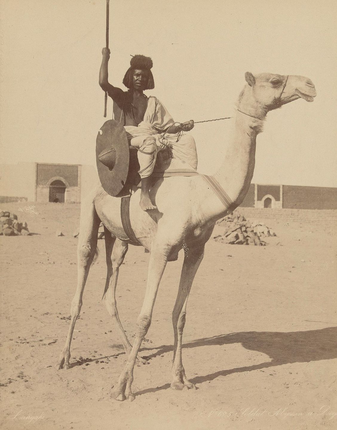 Bicharin soldier on a camel.