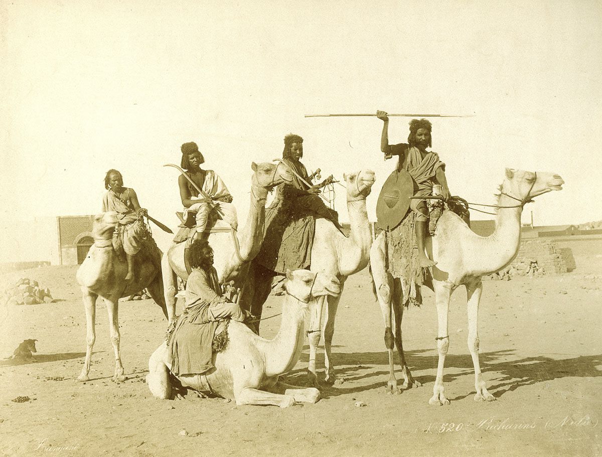 Bicharin men on camels.