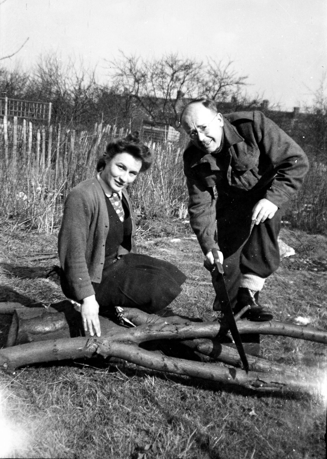 the-allotment snapshot