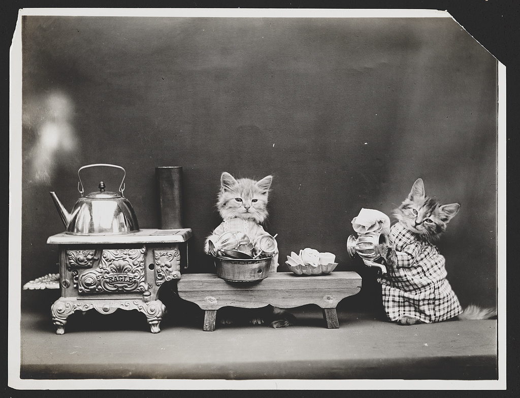 Harry Whittier Frees cats in human clothes