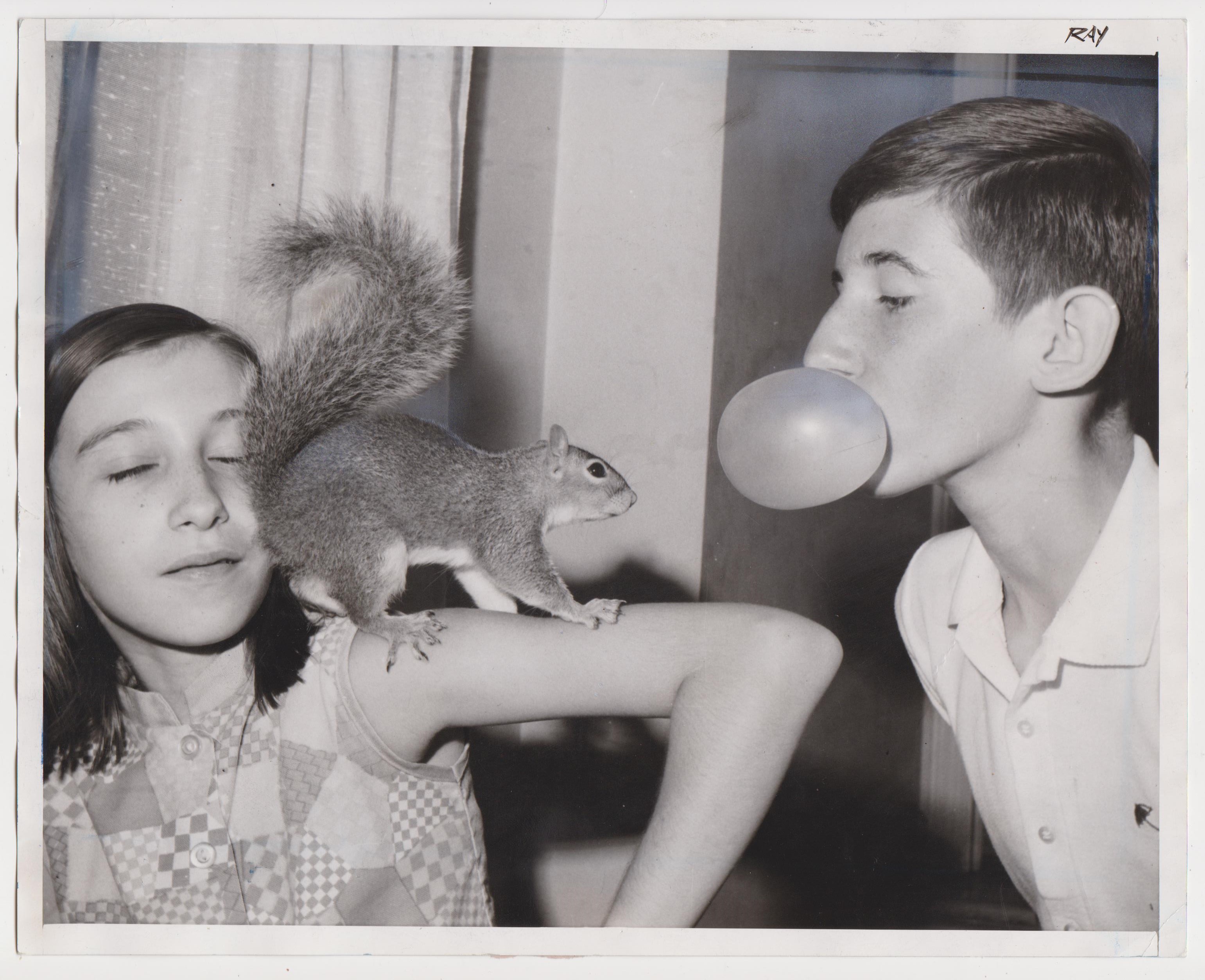 The Joy Of Chewing Gum And Blowing Bubbles 16 Brilliant Snapshots Flashbak