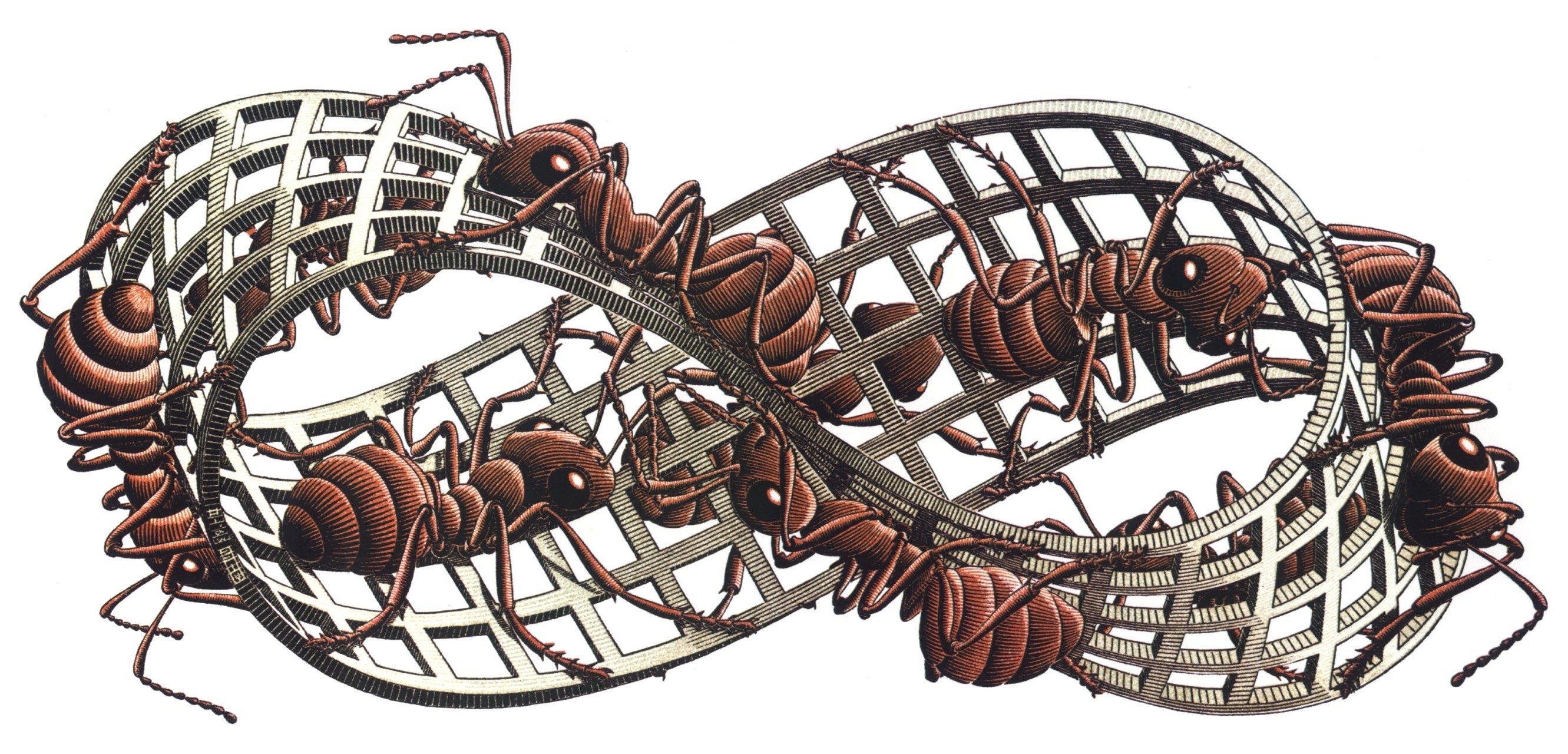 The Moibus Strip Escher