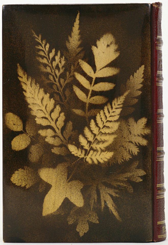Cowper's Poetical Works' 1874 ---- Mauchline Ware technique of decoration