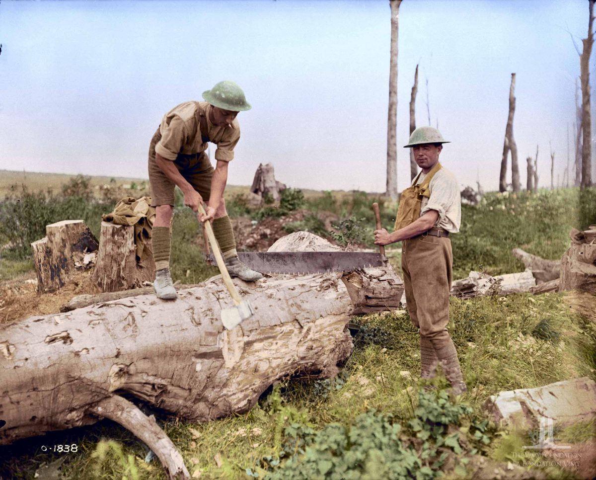 World War 1 In Color: Canada's War - Flashbak