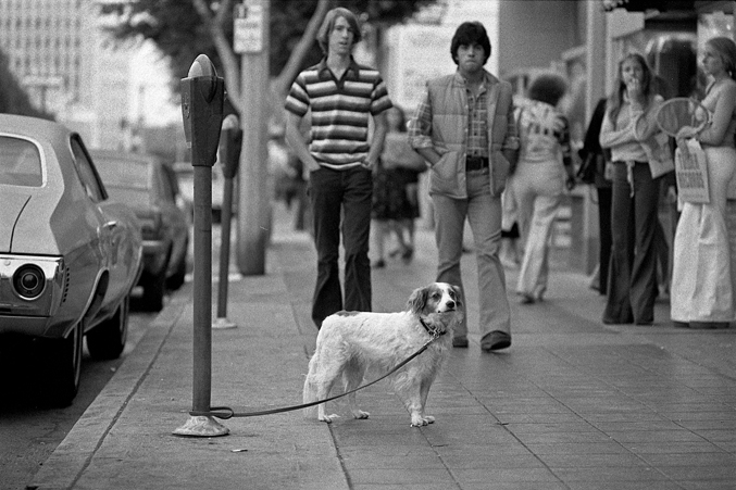 LOS ANGELES, 1977-78