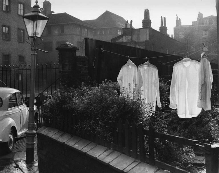 Back-street garden, Camden Town, London, 1960