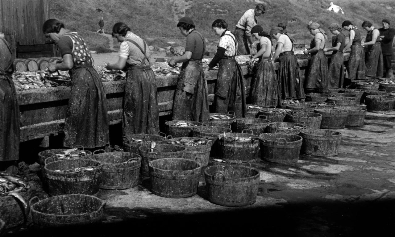 Herring girls gutting fish on the quayside, North Shields, 1930s.