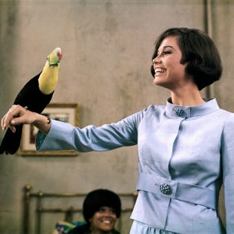 “Take chances, make mistakes. That’s How you Grow.” – Pictures of Mary Tyler Moore