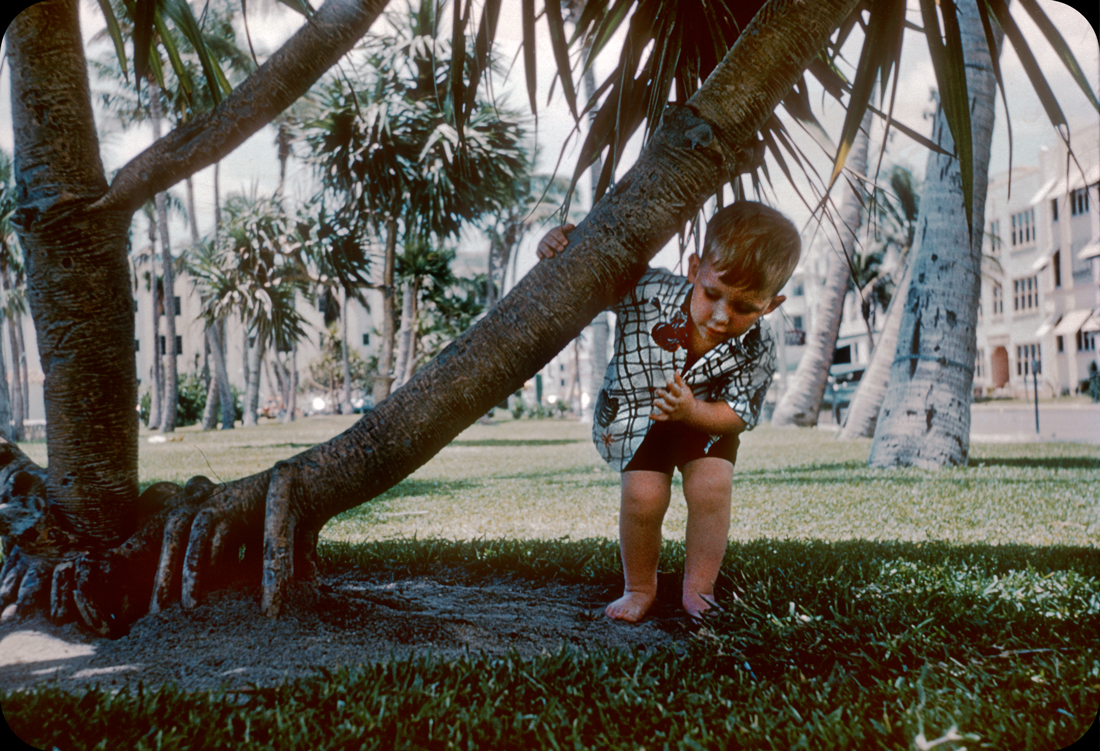 Florida 1940s Kodachrome